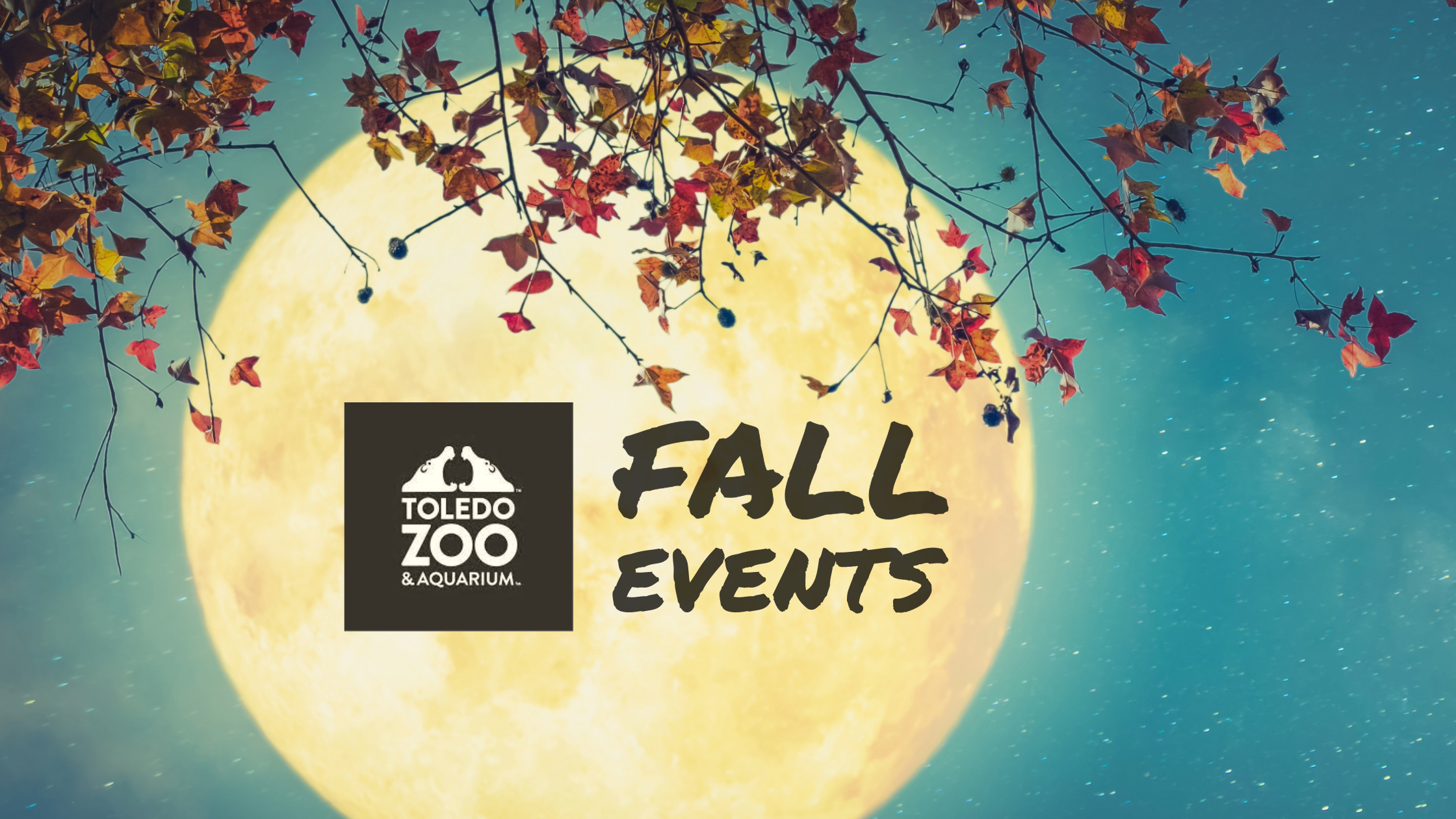 fall events toledo zoo
